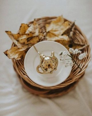 Zaparzacz do herbaty Homla złoty