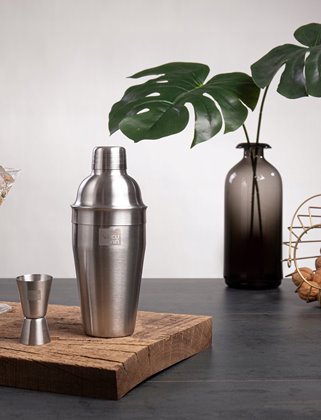 Shaker srebrny VacuVin 0,5L